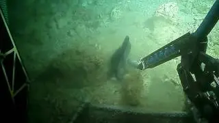 Using a submersible to pick up a baseball cap