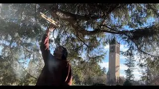Hang board session