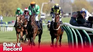 Horse death tally from Scottish Grand National as Ayr showpiece suffers more tragedy