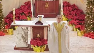Father Mark Beard's Homily - 