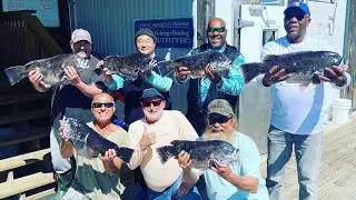 UNBELIEVABLE DELAWARE TAUTOG / BLACKFISH FISHING