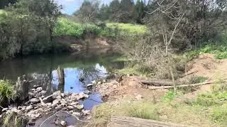 Gold Fossicking in Australia/Gympie