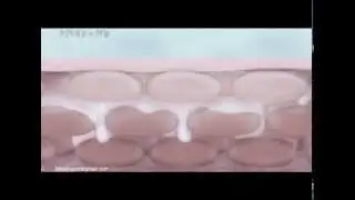 Skin CG Montage