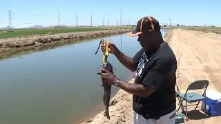 SUMMER CATFISHING