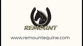 Mustang Spotlight: Remount Equine Supplements