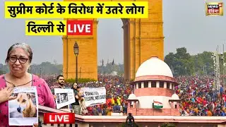 Dog Lovers Protest in Delhi Live: Supreme Court Orders on Stray Dogs from streets | Animal Lovers