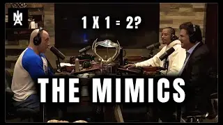 The Mimic | An Alternate Interpretation of 1 x 1 = 2