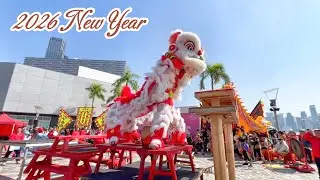 2026 New Year's Day Lion Dance, Hong Kong #香港元旦 #香港龍獅節 #舞獅表演 #世界龍獅日