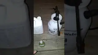 Life Hack!  #4  #shorts  Weed Killer