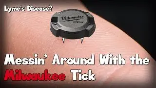 Milwaukee Tick Review?