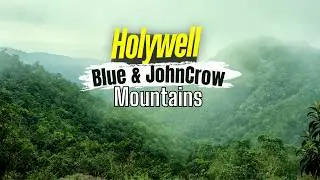 Discover Holywell: Jamaica's Blue & JohnCrow Mountains National Park Adventure