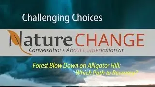 Alligator Hill - Which Way to Recovery
