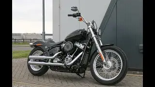 2021 Harley-Davidson FXST Softail Standard in Vivid Black