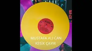 Kesik &Ccedil;ayır