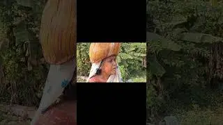ভিডিওটি যদি কোন পঞ্চায়েত আধিকারিক দেখে থাকেন তাহলে বৃদ্ধ মায়ের বয়স্ক ভাতার ব্যবস্থা করে দেন