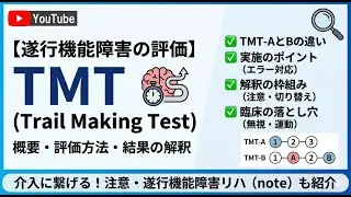 Assessment of executive dysfunction: Overview of the Trail Making Test (TMT), assessment method, ...