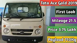 Tata Ace Gold 2019 First Look🔥| Full Detail Review | Specification | Price | Millage | Payload
