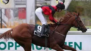 Rennpferde-Trainer Michael Figge:
