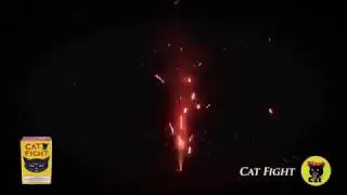 2019 Fireworks Video
