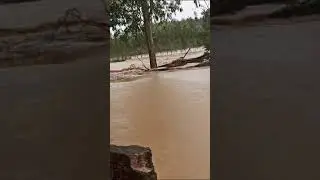 saila flood #flood #hoshiarpur