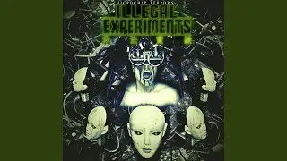 Illegal Experiments (Protector 101 Remix)