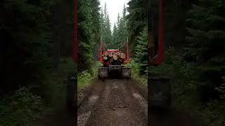 Rear View: Timber Truck Disappears Into Muddy Woodland Trail | Off-Road Logging