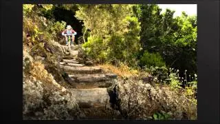 Best Of - Mountainbike Bilder Teneriffa by mtb-active.com