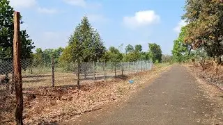 Nhà vườn sầu riêng, Mt 49,38×156×93m+100tc ,nở hâu L = 9111m², 1tỷ980tr,lh em thành ạ.