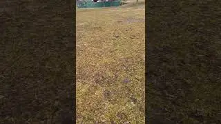 Brincando com o drone pela primeira vez Everett mam&atilde;e filmando