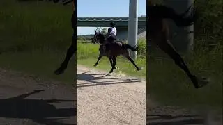 Riding a Racehorse 🐎
