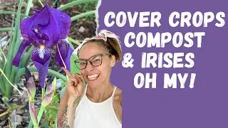 Adding Cover Crop, Irises, Compost and a Sprinkle of Silly In My El Paso Desert Backyard Garden