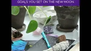 Practice Self-Care With Lunarly