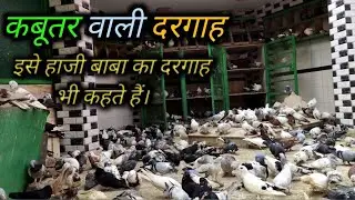 😱कबूतर वाली दरगाह✨ || Kabutar wali dargah || इसे हाजी बाबा का दरगाह भी कहते हैं।