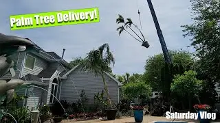 Plant Delivery By Crane || Palm Trees Are Back! || Saturday Vlog