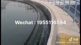 Sludge scraper in sedimentation tank