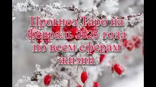 Прогноз Таро на февраль 2026 года по всем сферам жизни