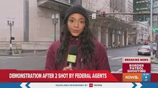 Activists gather to protest federal presence after Border Patrol agent shoots 2 in Portland