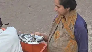 Ocean to Kitchen -Muslim Vendor waiting for pretty Catholic customer serving fish to Hindu husband