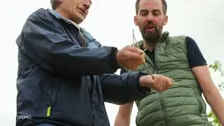 Moja dedovina: Dedovina u Svrlji&scaron;kim planinama nije na prodaju