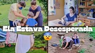 Chegou o Que Eu Estava Esperando | Frutíferas e Plantação | Rotina do Dia na Roça em Família