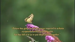 Positive thoughts in hindi #nature#shorts#viral