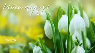 Кудайдын чакырыгы. 22 - январь