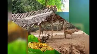 Amirdhi zoo and waterfalls, Very nice place have a fun.