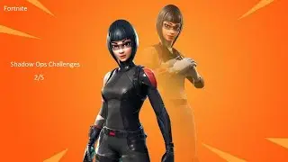 Fortnite Shadow Ops stage 2/5 collect light ammo, medium ammo and shells