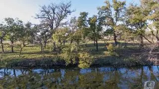 MERTZON | Spring Creek - listed by Roy Zesch