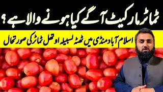 Tomato market islamabad |  pakistan biggest market | Sindh Tomato | Today wholesale prices