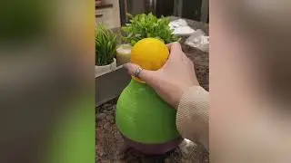 Large BobALot interactive toy | Keep Your Dog Busy & Happy 🐶