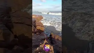 Visitamos Playas del sur de Mar del PLata
