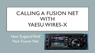 The basics of calling a "Net" with Fusion and Net Logger