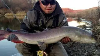 2014 Fall Mongolia